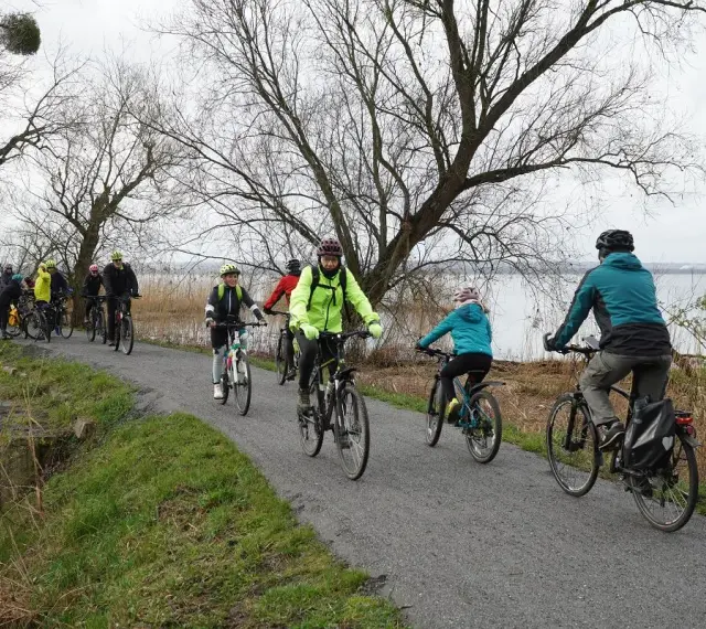 Grupa rowerzystów przemierza malownicze ścieżki rowerowe Szczecina, ciesząc się aktywnym wypoczynkiem nad wodą.